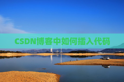 CSDN博客中如何插入代码
